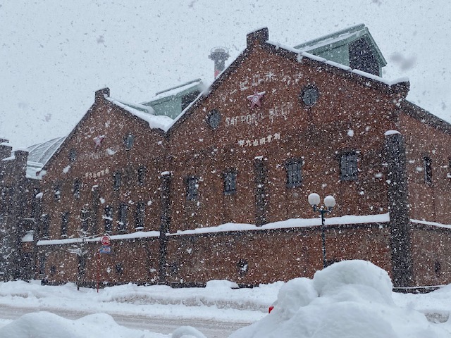 雪の札幌 ⛄